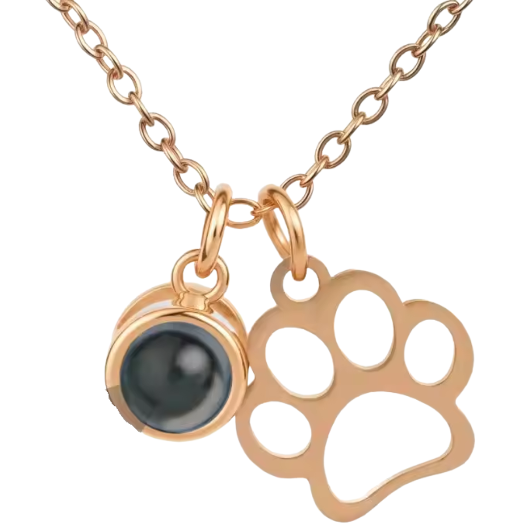 Collar con Proyección de Foto de tu Mascota